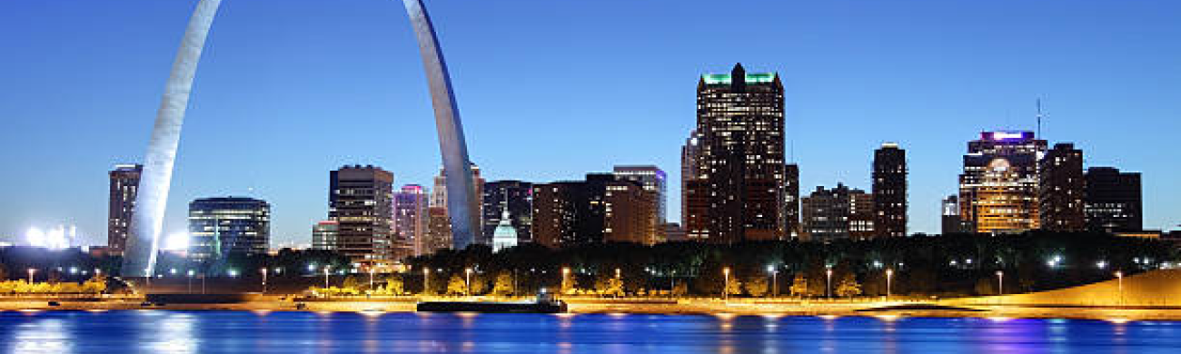 Who sells vinyl windows St. Louis